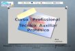 Curso Profissional Técnico Auxiliar Protésico Módulo I – Tipos, componentes e características de cada tipo de prótese 1 Ano Lectivo 2011/2012