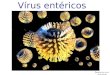 Vírus entéricos ( adaptado do site de Derek Wong)