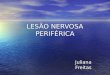 LESÃO NERVOSA PERIFÉRICA Juliana Freitas. Anatomia do Neurônio Corpo Celular (localizado na medula ou no gânglio espinal) +Axônio+Endoneuro