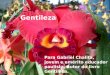 Gentileza Para Gabriel Chalita, jovem e emérito educador paulista, autor do livro Gentileza