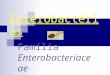 Enterobactérias Família Enterobacteriace ae. Enterobactérias Bacilos Gram negativos Maioria habita intestino do homem e de animais  Como flora normal