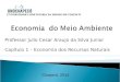 Professor Julio Cesar Araujo da Silva Junior Capítulo 1 – Economia dos Recursos Naturais Chapecó, 2014