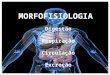 MORFOFISIOLOGIA Digestão Respiração Circulação Excreção