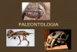 PALEONTOLOGIA. Para que serve a Paleontologia Formado a partir das palavras gregas: palaios = antigo, ontos = ser, logos = estudo; Utiliza os fósseis