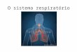O sistema respiratório Tatiana Rosa. Funções primárias do sistema respiratório 1.Troca de gases entre a atmosfera e o sangue 2.Regulação homeostática