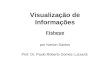 Visualização de Informações Fisheye por Iverton Santos Prof. Dr. Paulo Roberto Gomes Luzzardi