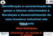 Identificação e caracterização de genes e fatores relacionados à floculação e desenvolvimento de uma levedura industrial não floculante Aline Rodrigues