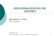 1 REGIONALIZAÇÃO DE VAZÕES Benedito C. Silva IRN / UNIFEI adaptado de Prof. Carlos E. M. Tucci / Walter Collischonn