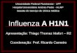 Influenza A H1N1 Apresentação: Thiago Thomaz Mafort – R2 Coordenação: Prof. Ricardo Carneiro Universidade Federal Fluminense - UFF Hospital Universitário