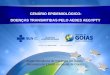 CENÁRIO EPIDEMIOLÓGICO: DOENÇAS TRANSMITIDAS PELO AEDES AEGYPTY Superintendência de Vigilância em Saúde Secretaria de Estado da Saúde de Goiás