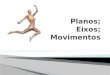 PONTO-CHAVE: a descrição do movimento articular segue um sistema baseado em planos e eixos que são definidos em relação à posição anatômica