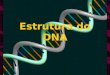 Estrutura do DNA. Estrutura molecular Dupla Helice