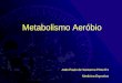 Metabolismo Aeróbio João Paulo de Santanna Pinto R1 Medicina Esportiva