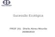 Sucessão Ecológica PROF (A): Sheila Abreu Mourão 20/08/2010