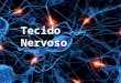 Tecido Nervoso. Sumário Tecido Nervoso  Tipos de células  Neurônio  Células Glias  Conclusão  Referências