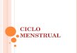 C ICLO M ENSTRUAL. D IAS DO CICLO Ovulação (14º dia) Menstruação Período fértil TPM 1º 5º Possível NIDAÇÂO