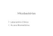 Micobactérias Laboratório Clínico 4o ano Biomedicina