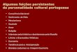 1 Algumas feições persistentes da personalidade cultural portuguesa Consciência Nacional Sentimento de ilhéu Messianismo Saudade Amor Religião Interesse
