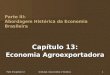 Parte III Capítulo 13Gremaud, Vasconcellos e Toneto Jr.1 Parte III: Abordagem Histórica da Economia Brasileira Capítulo 13: Economia Agroexportadora