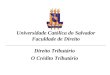 Universidade Católica do Salvador Faculdade de Direito __________________________________________ Direito Tributário O Crédito Tributário