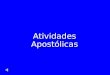 Atividades Apostólicas. Em 1904 nossos Missionários Vicentinos assumiram as Paróquias: Santo Estanislau (Alto- Paraguaçu-SC) e Nossa Senhora da Medalha