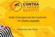 Fevereiro de 2016 Ação Emergencial de Controle do Aedes aegypti
