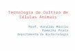 Tecnologia do Cultivo de Células Animais Prof. Arnaldo Márcio Ramalho Prata Departamento de Biotecnologia