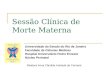 Sessão Clínica de Morte Materna Universidade do Estado do Rio de Janeiro Faculdade de Ciências Médicas Hospital Universitário Pedro Ernesto Núcleo Perinatal