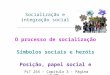 Socialização e integração social O processo de socialização Símbolos sociais e heróis Posição, papel social e status PLT 254 – Capitulo 3 – Página 73