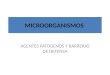 MICROORGANISMOS (1)