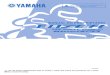Manual Fazer Ys 150 ED/SED BlueFlex