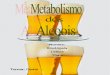 Trabalho de Quimica (Metabolismo Dos Alcoois)