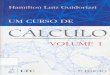 Um Curso de Cálculo - Luis h. Guidorizzi