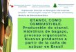 Proceso de Producción del Etanol (Modelo de Brasil).pdf