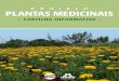 Plantas Medicinais: Cartilha Informativa