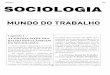 Sociologia - Mundo Do Trabalho 28p - TEXTO