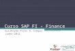 Curso SAP FI - Finance