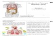 Anatomia e Fisiologia humana geral.pdf