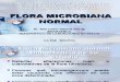 Presentacion Flora Microbiana Normal