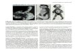 Embriologia - Capítulos 9 Ao 15