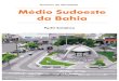 Perfil_Médio Sudoeste da Bahia.pdf