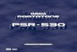 Manual PSR-530