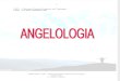 Doutrina Dos Anjos (Angelologia)