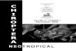 Chiroptera Neotropical - Punção Venosa 12-2-2006