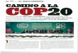 Camino a La COP20 - Somos 20141101