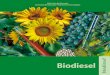 Biodiesel no Brasil