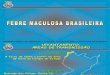 Febre Maculosa Brasileira