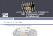 2 - Contencao Fisica de Pequenos Animais, Semiologia Das Mucosas, Linfonodos e Termometria