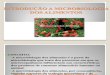 Microbiologia Dos Alimentos Introducao