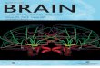 Brain Magazine - Como o Cérebro Repara a Gagueira